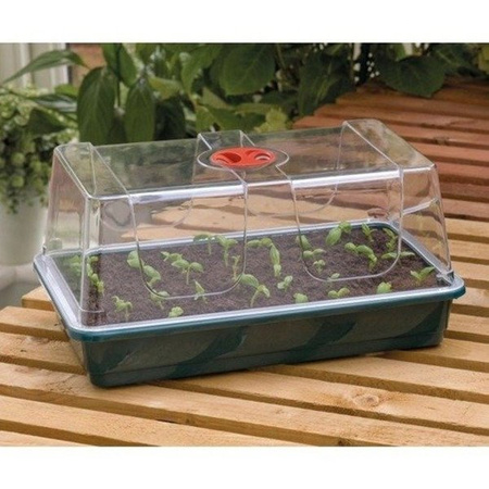 Mini Szklarenka Propagator (37,5x23x18cm)