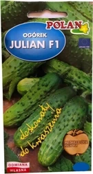 Nasiona Ogórek Julian