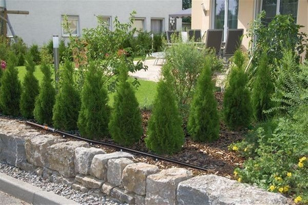 Micro-Drip nawadnianie nawierzch. 13 mm (1/2") 50m + reduktor ciśn.