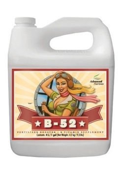 Advanced nutrients B-52, 5L